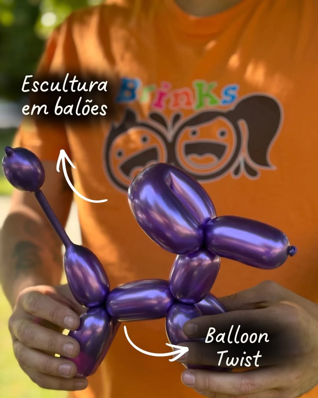 Brinks Diversão – Recreação Infantil e Eventos