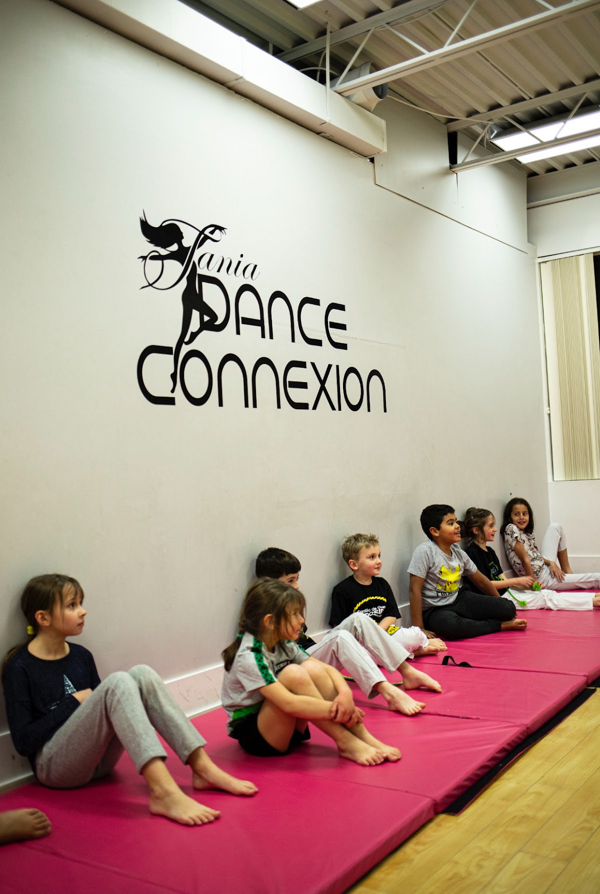 Capoeira Toronto (North York) - The Canadian Centre For Capoeira