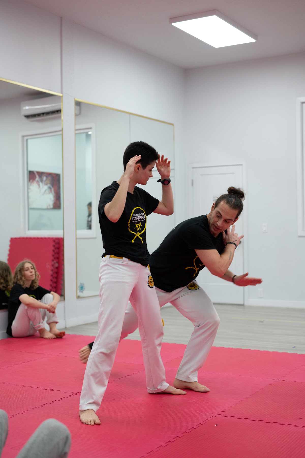 Capoeira Toronto (North York) - The Canadian Centre For Capoeira